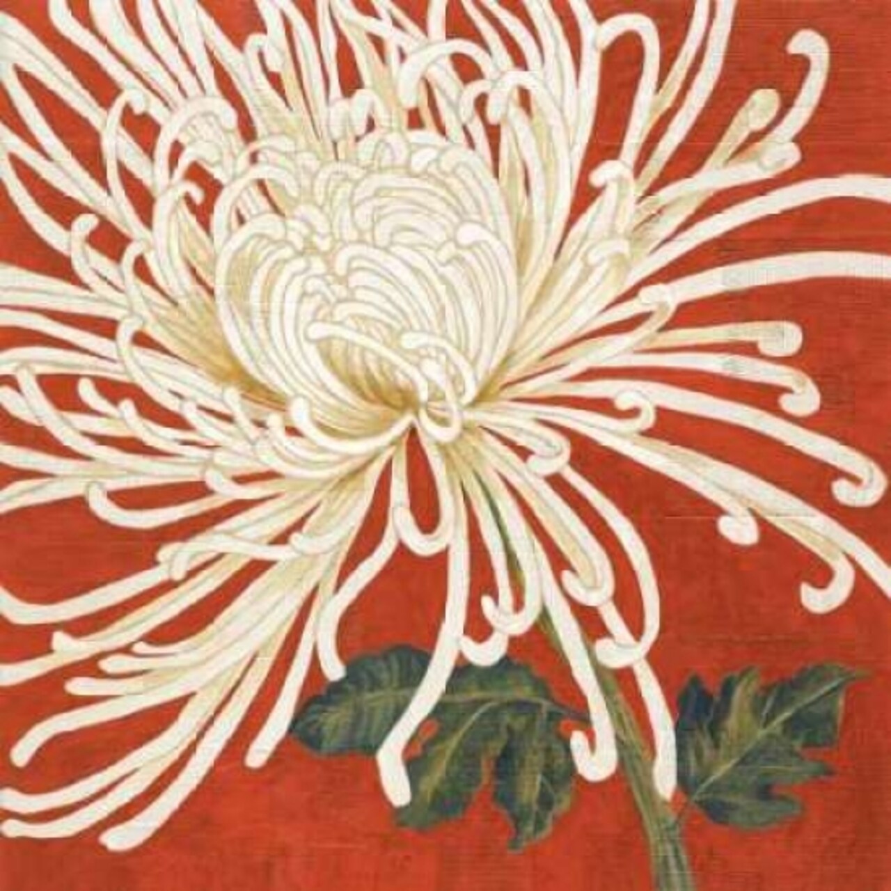 Spider Mum II Poster Print by Judy Shelby - Item # VARPDXCC2751